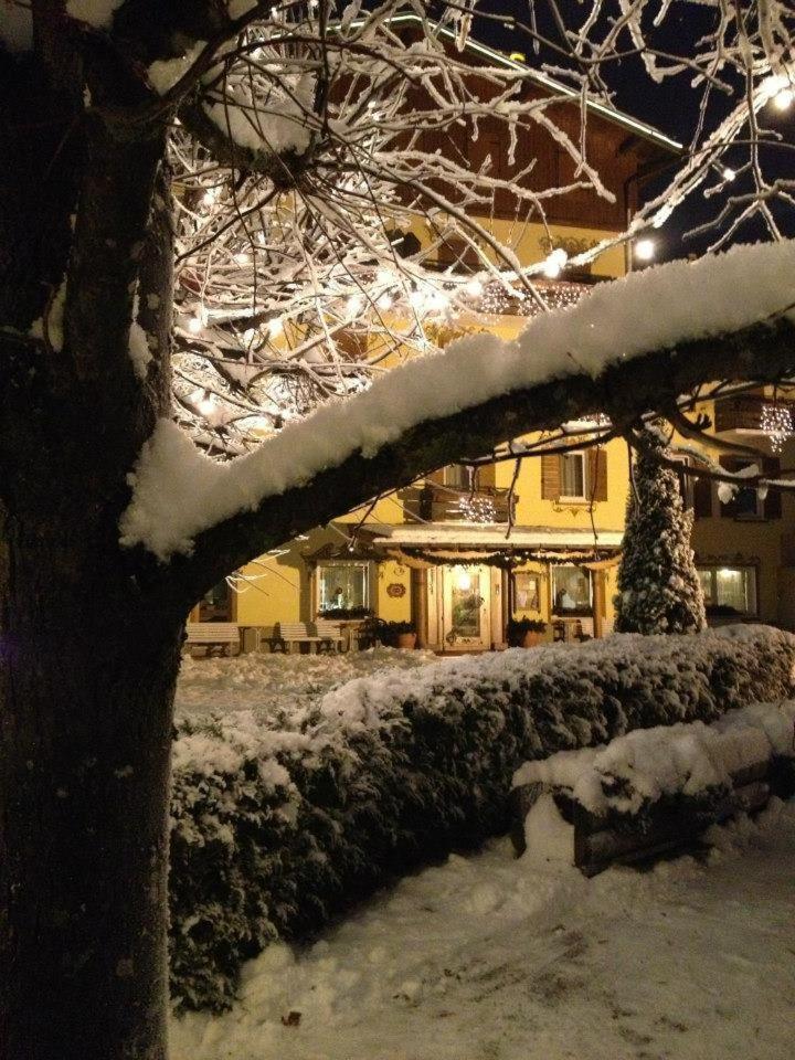 Hotel Juventus Auronzo di Cadore Εξωτερικό φωτογραφία